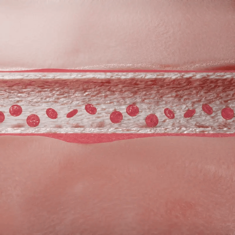 Section 6 adaptive pigments